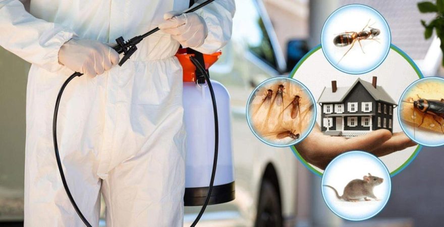 Esenyurt Böcek İlaçlama