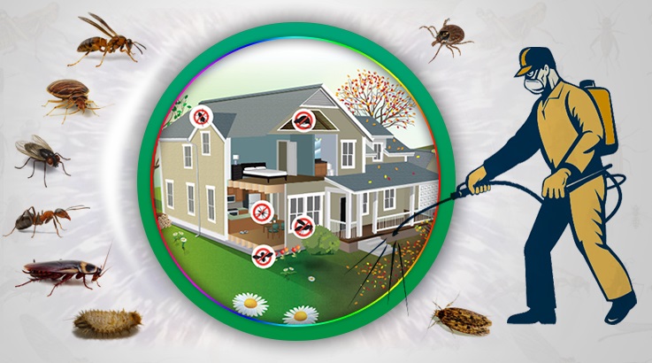 Esenyurt Böcek İlaçlama