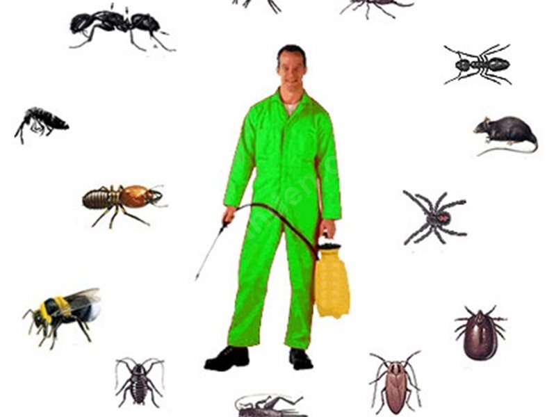 Esenyurt Böcek İlaçlama